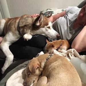 Meet your Posher, July